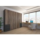 Silver gardrób 225 cm